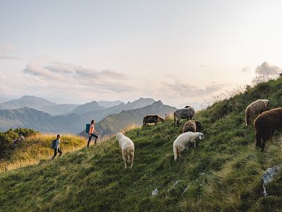 PIA – uw persoonlijke, digitale vakantiebegeleider