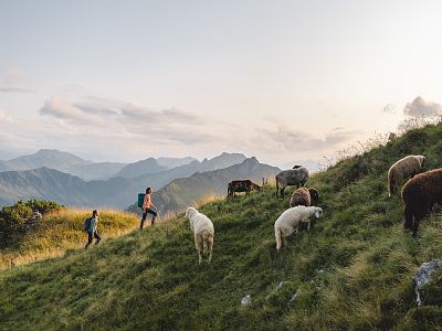 PIA – Ihre persönliche, digitale Urlaubsbegleiterin