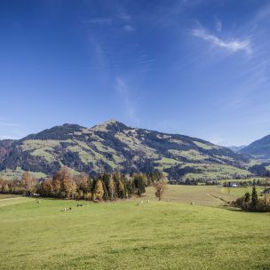 Group tours into the Holiday Region Hohe Salve