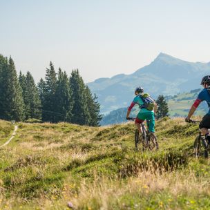 Kitzbüheler Alpen Trail Card