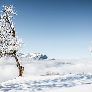 weer en weersvoorspelling