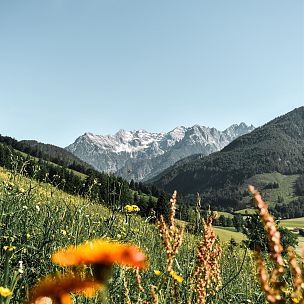 Opening van de zomer in de bergen