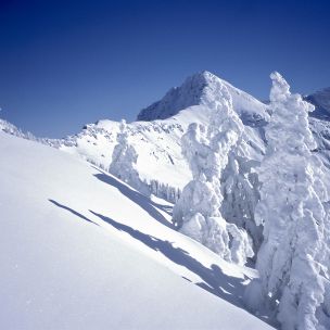 Schneereichste Region Tirols