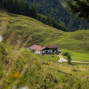 Metzgeralm