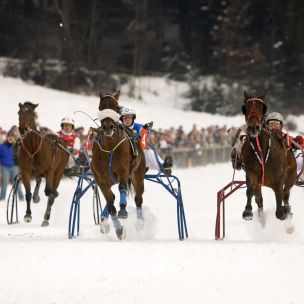 Int. Stefani Horse-drawn Sleigh Race
