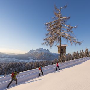 Weekprogramma in de winter