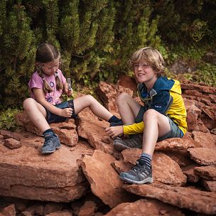 Triassic Park