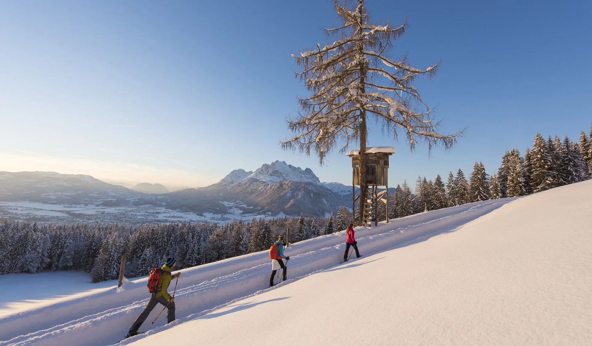 Winterwandern • Region St. Johann in Tirol