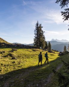 KAT Walk Kitzbüheler Alpen stage St. Johann in Tirol to St. Ulrich am Pillersee