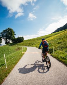 Kitzbüheler Alpen Hero Bike Patrick Ager mit dem Mountainbike nach Hopfgarten c Daniel Gollner