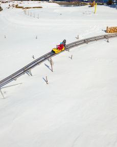 Kitzbüheler Alpen Ski Hero Familie Wallner Timoks Coaster im Winter im PillerseeTal c Daniel Gollner