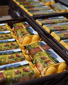 Koglerbauer Westendorf (c) TVB Kitzbüheler Alpen-Brixental, Bettina Hechenberger (21)