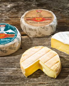 Wilder Käser cheese dairy - St. Johann in Tirol region (5)