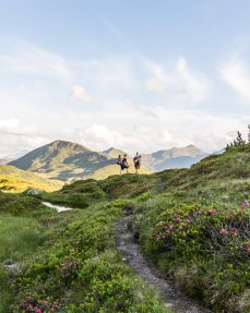 Traumhafte Ausblicke am Gerstinger Joch