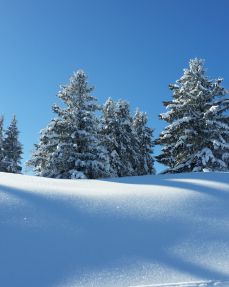 Winter scenery © Martin Weigl (4)