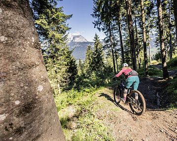 Harschbichl Trails • Region St. Johann in Tirol