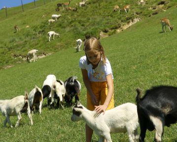 Kitzbueheler-Alpen-Wildpark-Aurach-Kinder-Streichelzoo-c-Albin
