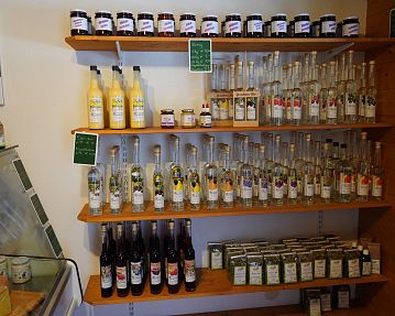 Koglerbauer Westendorf (c) TVB Kitzbüheler Alpen-Brixental, Bettina Hechenberger (38)