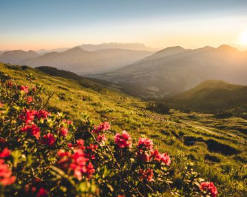 Lodron_Kitzbühel Alps-Brixental-Valley_Mathäus Gartner (2019)_FULL23