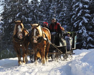 Horse-drawn sleigh tour Hopfgarten Holiday Region Hohe Salve