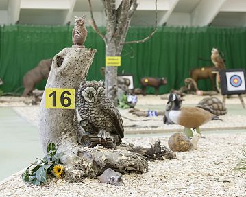 Tierfiguren als Ziel