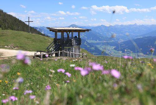 Adlerhorst viewing platform Buchacker