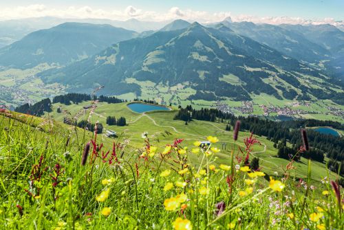 Aussicht vom Gipfel der Hohen Salve