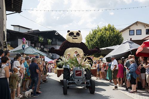 Panda beim Blumencorso 2025