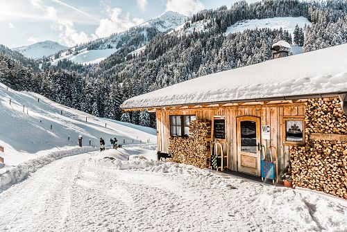 Brixenbachalm mit Naturrodelbahn