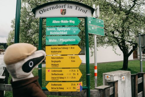 Detektiv Trail Oberndorf in Tirol • Region St. Johann in Tirol