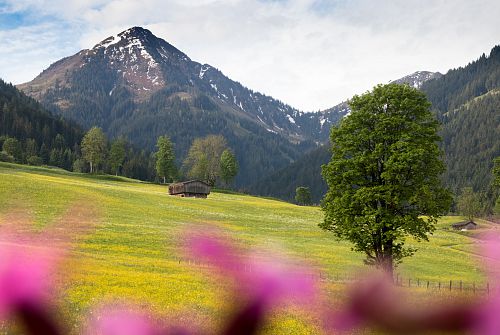 Gemütliche Runde