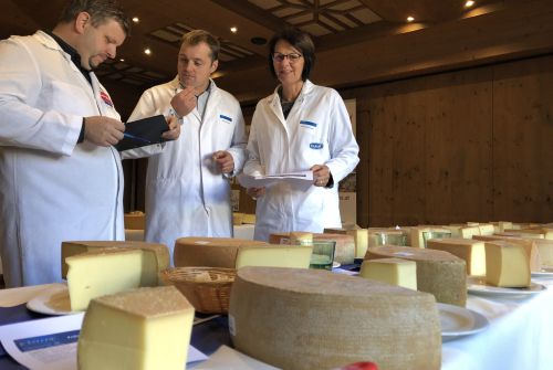 International Cheese Olympics in Hopfgarten
