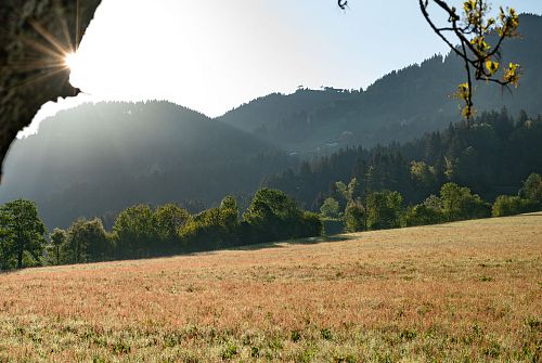 Itter im Mai