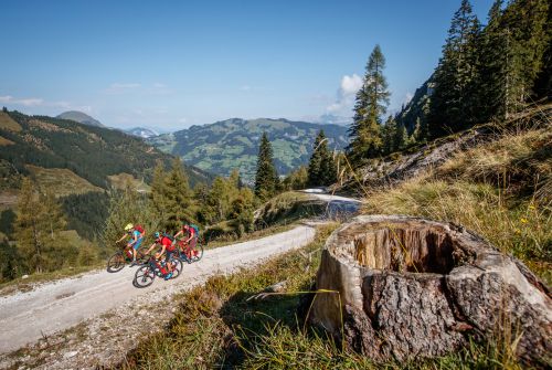 KAT Bike-Kitzbüheler-Alpen-Mountainbiker beim Anstieg-Etappe 3(c)E-Haiden  (9)