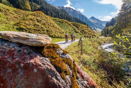 KAT Bike-Kitzbüheler-Alpen-Mountainbiker im Anstieg auf den Pengelstein-Etappe 3(c)E-Haiden  (4)