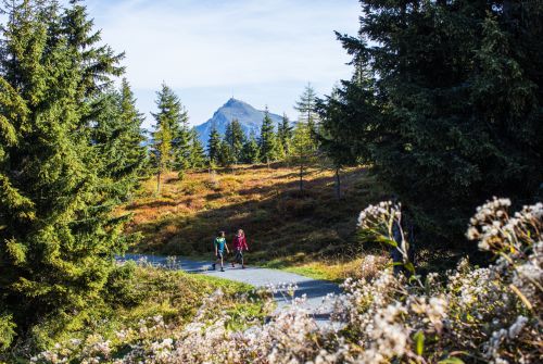 KAT Walk-Kitzbuehler-Alpen-Long-distance-hiking-trail-Section-of-route-Stage-4-c-Erwin-Haiden