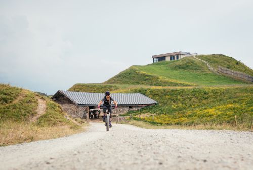 Kitzbühel-Alps-bike-hero-Lena-Koller-on-the-ascent-via-a-forest-road-to-the-Pengelstein-on-the-KAT-bike-trail-c-Daniel-Gollner