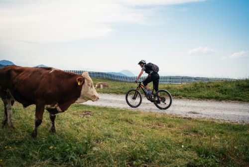 Kitzbüheler Alpen Hero Bike Lena Koller onderweg met haar mountainbike op de KAT Bike c Daniel Gollner