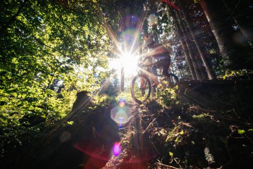 Kitzbüheler Alpen Hero Bike Marco Brandstätter Sonnenstrahlen im Wald am Harschbichltrail in St.Johann in Tirol c Daniel Gollner