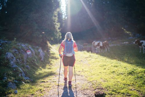 Kitzbüheler-Alpen-hiking-hero-Christina-Foidl-encounters-cows-on-the-last-stage-of-the-KAT-Walk-c-Daniel-Gollner