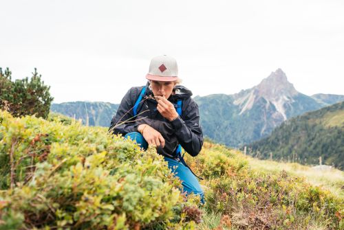 Kitzbüheler Alpen Hero Wandern Nick Brandstätter kostet ein paar Heidelbeeren entlang des Weges c Daniel Gollner