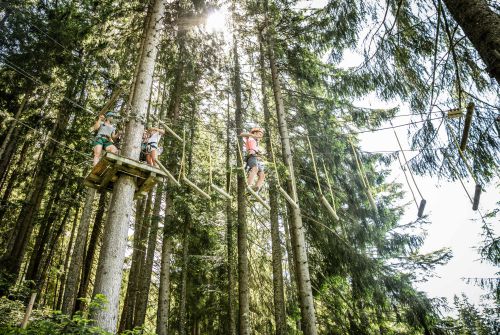 Hornpark tree top adventure park - St. Johann in Tirol region
