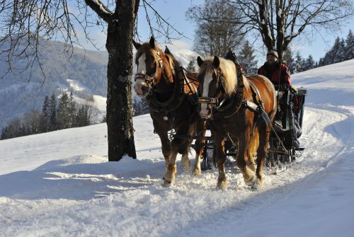 Kutschenfahrt Ferienregion Hohe Salve