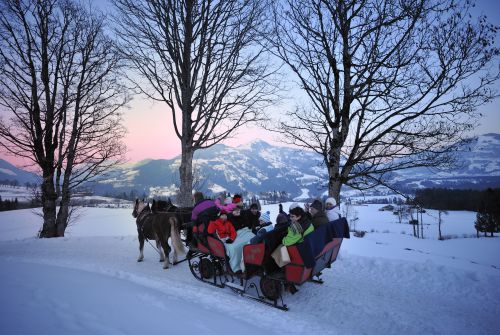 Kutschenfahrt im Schnee in Hopfgarten