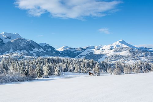 Landschaft Winter Fieberbrunn © Helmut Lackner (11)