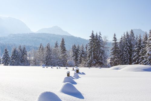 Landschaft Winter Hochfilzen © Helmut Lackner (1)