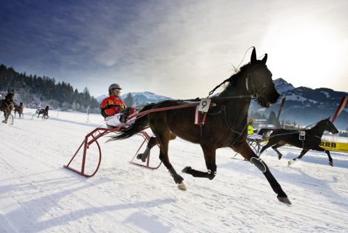 Paard met ruiter - regio St. Johann in Tirol
