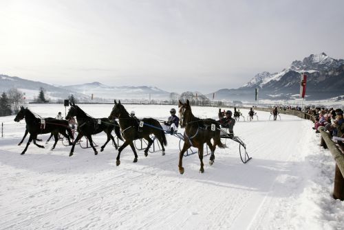 Pferderennen - Region St. Johann in Tirol