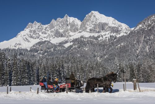 Horse-drawn carriage in front of the Wilder Kaiser  - St. Johann in Tirol region