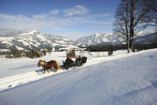 Horse-drawn sleigh tour on Penningberg